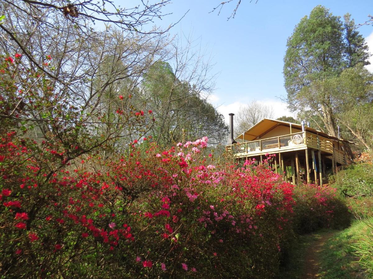 Villa Africamps Magoebaskloof Esterno foto
