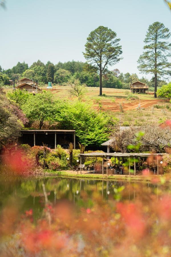 Villa Africamps Magoebaskloof Esterno foto