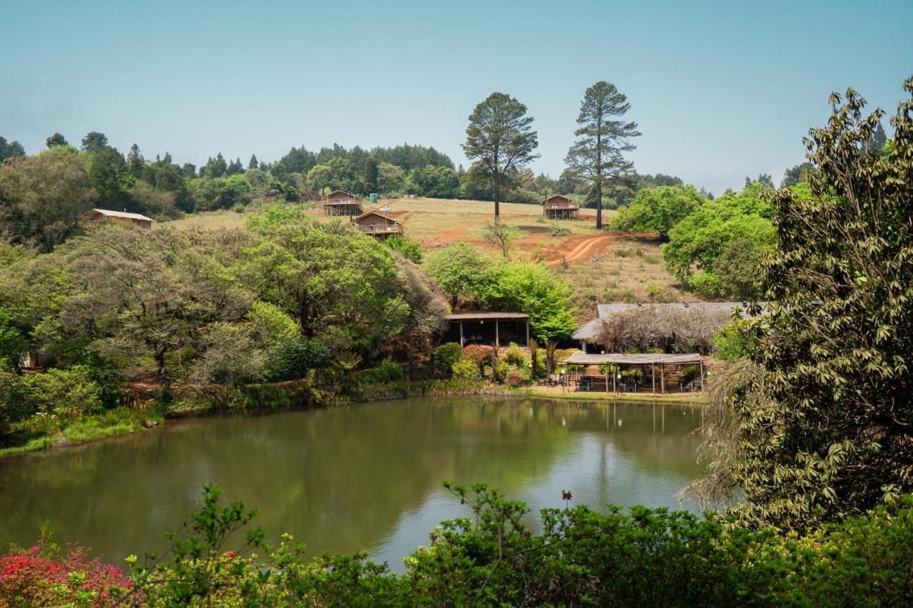 Villa Africamps Magoebaskloof Esterno foto